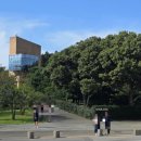 제주전통하우스 | [제주핫플] 제주도 서귀포 가볼만한곳 [오설록 티 뮤지엄/이니스프리 제주 하우스/녹차밭] 후기!