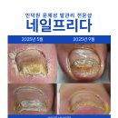 네일프리다 이미지