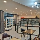 러블리 독 이미지