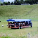 순서농장 이미지