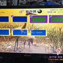 빌리#당구장 이미지