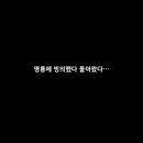프로젝트여름 네이버블로그
