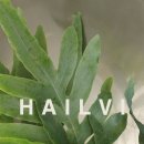 노원-공릉-3098 이미지