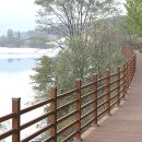 우연식당 이미지