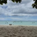 토토의 바다 | 보홀 여자혼자 자유여행 2일차 토토에페피노&amp;보홀 두말리안 비치클럽(BBC)&amp;보홀랄라(Boholala)