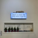 벨라 | 일산 솥밥 맛집 ‘참솥 벨라시타점’ 방문 후기