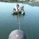 장안대교(밑) 이미지