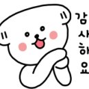 명진체육관 이미지