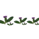 리산건설(주) 이미지