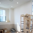 마시멜로냥 이미지