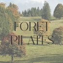 포렛필라테스 이미지