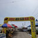 서천-17 | 서천광어도미축제 먹거리, 낚시, 맨손잡기체험 방문 후기 (내돈내산)