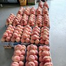 진월농장 이미지