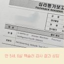 책+도형심리 | 만 5세, 6살 웩슬러 검사 결과 상담 후기