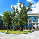 한국목재사업협동조합 이미지