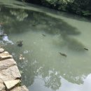 루맨홀 24 | [여행하랑-다카마쓰]다카마쓰DAY-1/공항버스무료티켓/후게츠/리쓰린공원/다카마쓰성/타마모공원/호네츠...