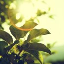 송림자활 이미지