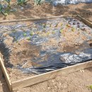 풍각농약사 이미지