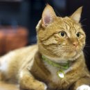 방성5리마을회관 이미지