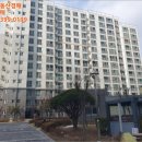 동심예능유치원 이미지