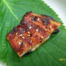 바다장어 이미지