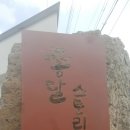 종달스토리 | 제주도 게하 종달스토리후기