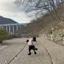 디어마이독1007