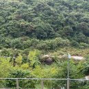 온천마을회관 이미지