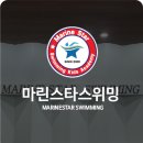 마린스타스위밍 네이버블로그
