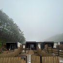 꼬로몽 | 양양펜션 꼬로몽 애견펜션 완전추천후기🤍