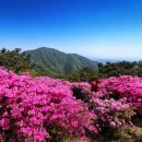 의령-의령-의령-D-1 이미지