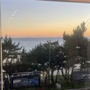 다포회타운 이미지