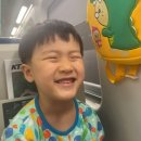 이사진과 영상을 보면 삶의 의욕이 생긴다. 이미지