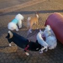 마들스타디움 이미지