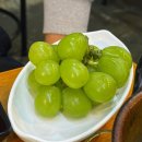 [서울대입구 ‘고씨네’] 관악 봉천동 가성비 동네횟집 행운동 깻잎막회 고마카세 맛집