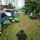 온양4동 온천대로 이미지