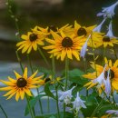 부천중앙공원 이미지