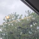 리안이네농장 이미지