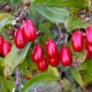 동삼2동-1 이미지