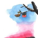 배교 Daum카페