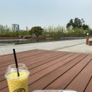 부전천 | 부산시민공원 아이와 가기 넘나 좋은 곳 - 모래놀이장, 놀이터, 잉어먹이주기, 피크닉