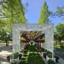 봉숭아물 물들이다 | 2026년 고양 꽃박람회 시작하다