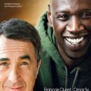 오드리 독 이미지