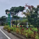 요천다슬기마을 이미지