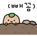 성수여자고등학교 이미지