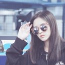 키쿠 이미지