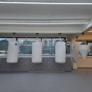 스타복싱클럽 연천 이미지