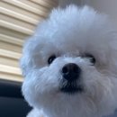 카페모리 이미지