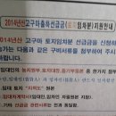 마루진 이미지