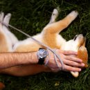 아이펫 동물병원 이미지